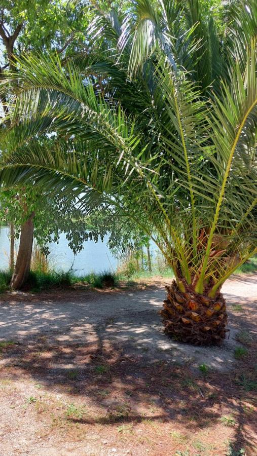 Aux Abords Du Lac Apartment อาร์ลส์ ภายนอก รูปภาพ